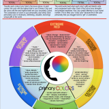 Primary Colors Personality Profile – Digital License