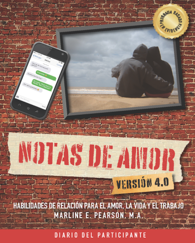 Spanish Journal LNSRA 4.0 Cover