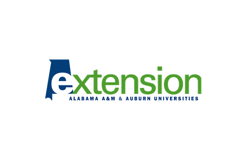 Alabama Cooperative Extension Services Case Study - The Dibble Institute